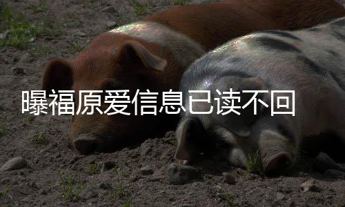 不回婚处信息曝福理财原爱已读 疑延离产似拖